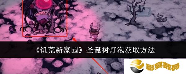 饥荒新家园圣诞树灯泡在哪里 新家园圣诞树灯泡如何获取[多图]