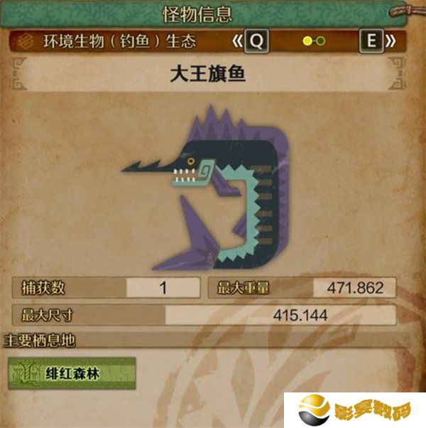 怪物猎人荒野大王旗鱼在哪钓 大王旗鱼点位一览