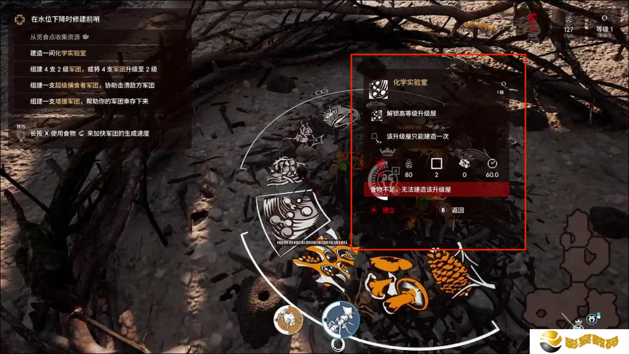 蚂蚁帝国第一关怎么玩 第1关玩法攻略[多图]图片11
