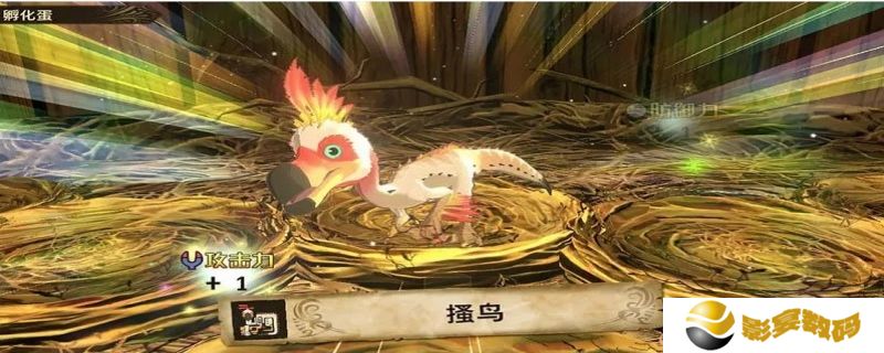 怪物猎人物语选蛋技巧 怪物猎人物语选蛋技巧是什么