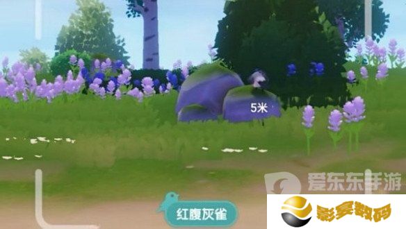 心动小镇怎么拍照 心动小镇拍照技巧分享