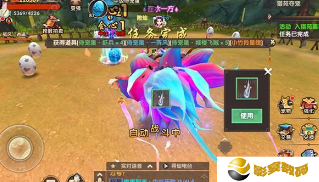 寻仙手游侍宠如何获得 侍宠获取方法有哪些[多图]图片3