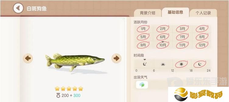 心动小镇手游白斑狗鱼怎么钓 白斑狗钓鱼时间地点分享