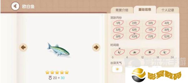 心动小镇欧白鱼钓鱼在哪 心动小镇欧白鱼钓鱼位置分享