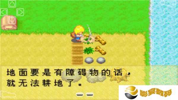 牧场物语女孩版手机版截图