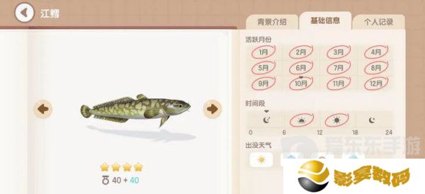 心动小镇手游江鳕钓鱼如何钓 心动小镇手游江鳕钓鱼时间位置一览