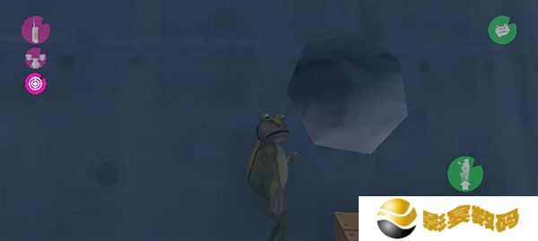 AmazingFrog