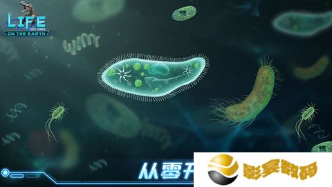 生命简史手游