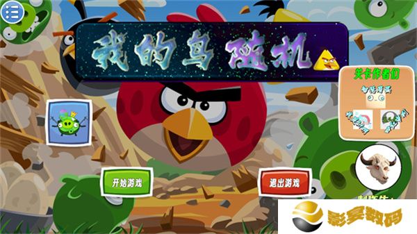 我的鸟