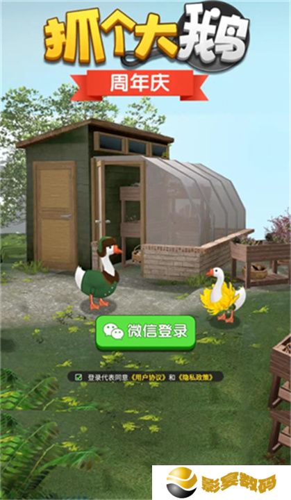 抓个大鹅