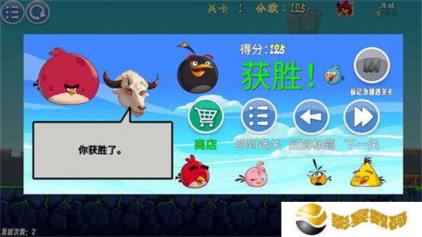 我的鸟
