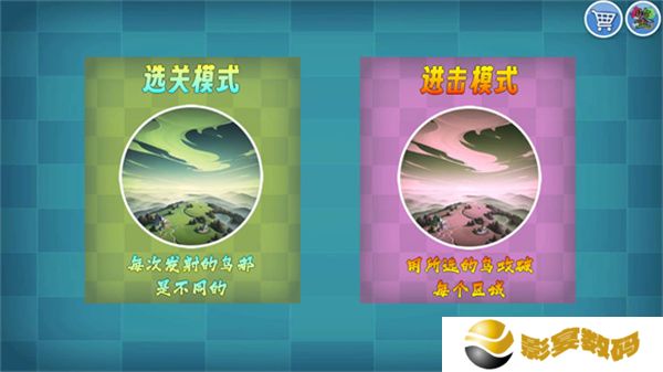 我的鸟