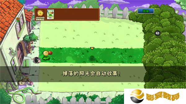 植物大战僵尸ikun版