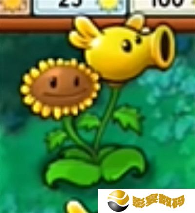 植物大战僵尸旅行版