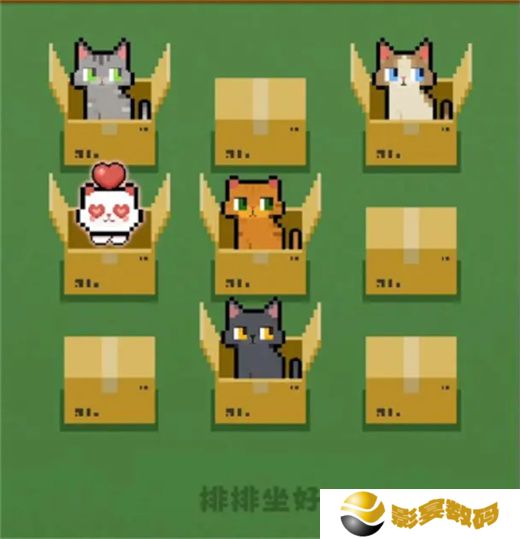 数猫猫