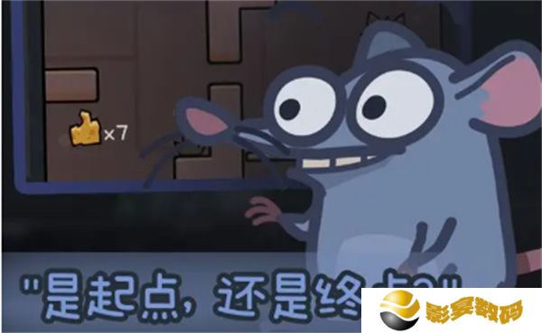 深井蛙
