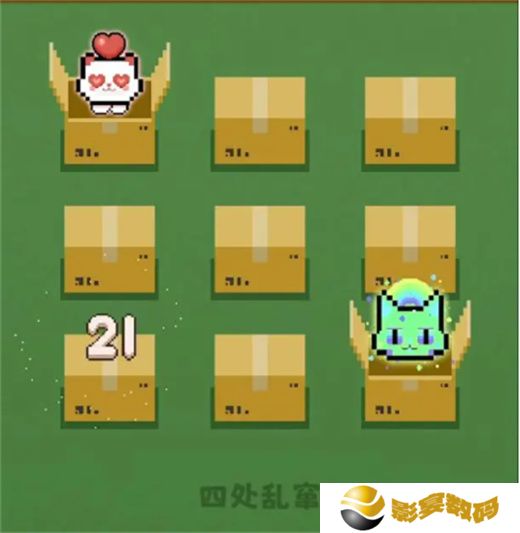数猫猫