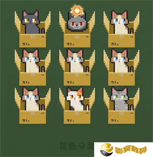 数猫猫