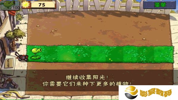 植物大战僵尸老版