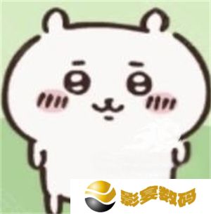 ChiikawaPocket