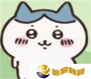 ChiikawaPocket