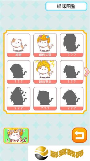 爆炸头猫