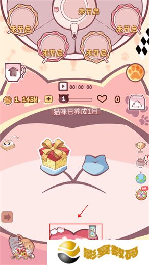 云撸猫咪