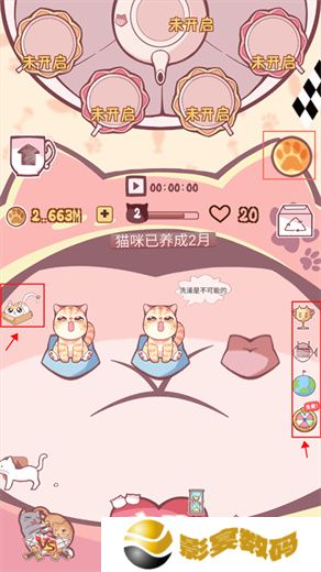 云撸猫咪
