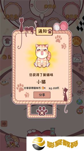 云撸猫咪