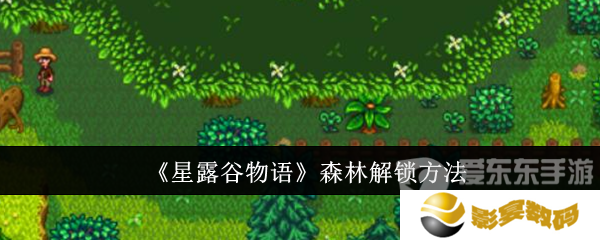 星露谷物语森林怎么解锁 森林解锁方法介绍
