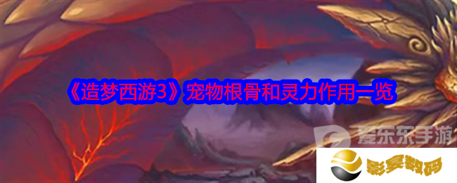 造梦西游3宠物根骨和灵力有什么用 宠物根骨和灵力作用介绍