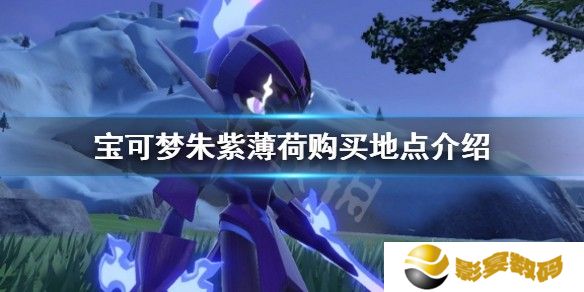 宝可梦朱紫薄荷购买地点介绍 薄荷哪里买