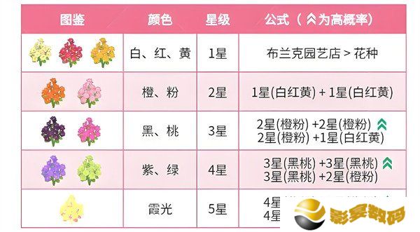心动小镇春野令霞光迎春花怎么种植 春野令霞光迎春花种植方法
