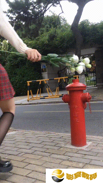 极乐软件园